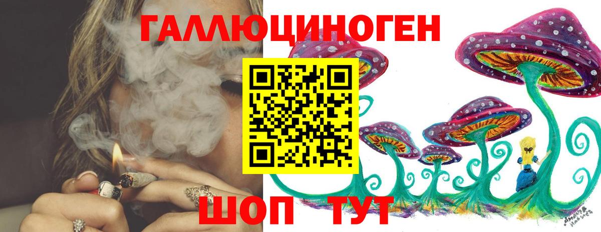 Коммунар  Псилоцибиновые грибы MAGIC MUSHROOMS  Вход с VPN 