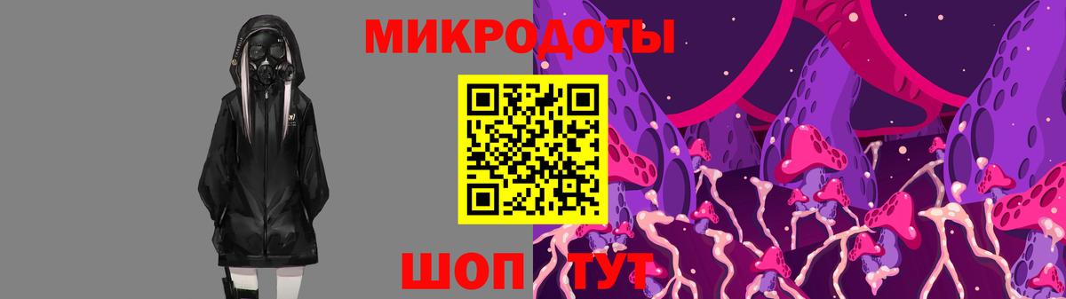 Псилоцибиновые грибы Cubensis Коммунар