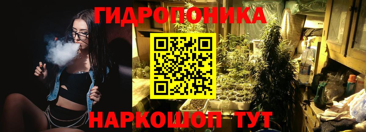 Бошки марихуана OG Kush Коммунар